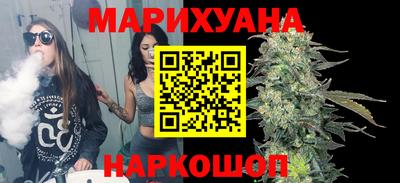 мдпв Камень-на-Оби