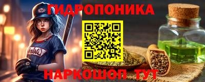 мдпв Камень-на-Оби