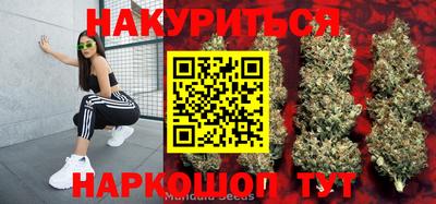 мдпв Камень-на-Оби