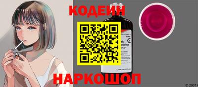 мдпв Камень-на-Оби