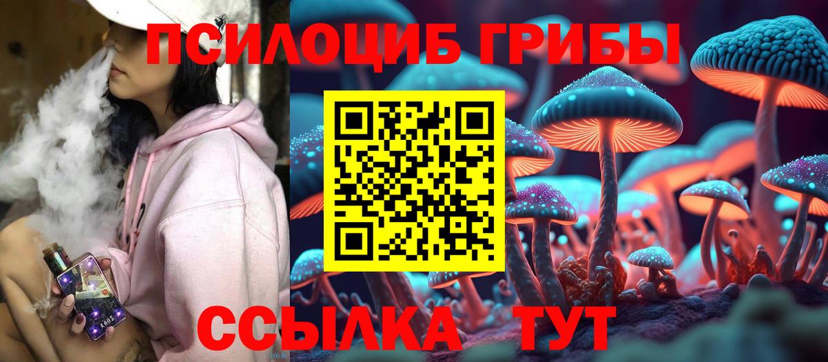 Елец  Галлюциногенные грибы Psilocybine cubensis  Вход с VPN  Галлюциногенные грибы Magic Shrooms 